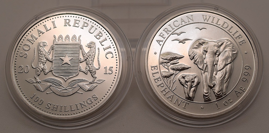 Somalia Elephant African Wildlife 1 oz 2015 Silbermünze (Kopie)