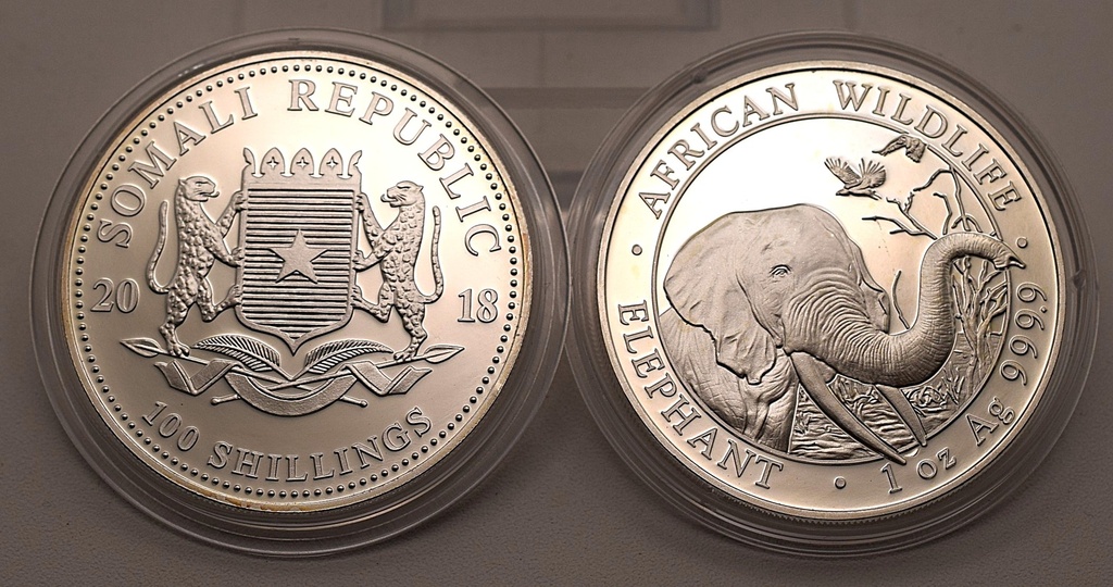 Somalia Elephant African Wildlife 1 oz 2018 Silbermünze