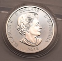 Predator Serie Kanada 2017 Luchs 5 Dollar 1 Unze Silbermünze 999,9 Feingehalt (Kopie)