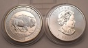 Bison Kanada 1 1/4 Unze 8 Dollar 2015 Silbermünze 999,9 Feingehalt