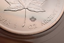 Maple Leaf 1 Unze 2016 Silbermünze Kanada Investment / Anlage