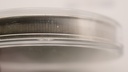 Münzbarren Lunar II Silber 1000 g / 1 kg
