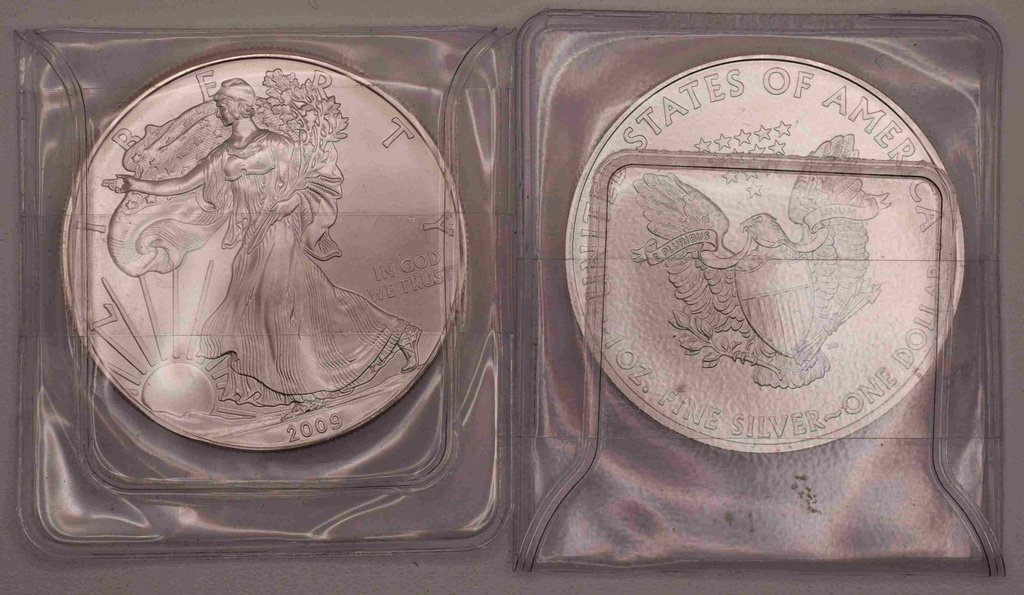 American Silber Eagle 1 oz 2010 Silbermünze USA
