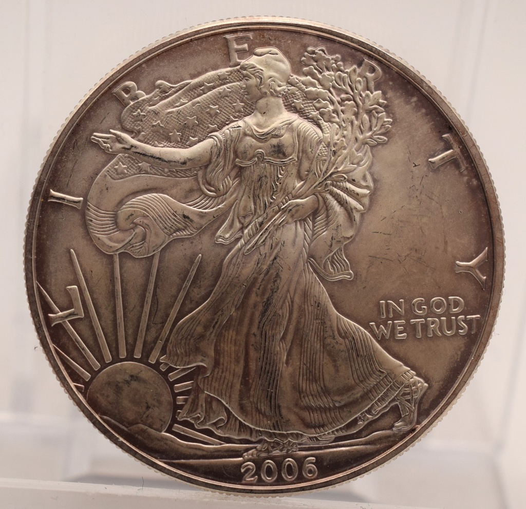 American Silber Eagle 1 oz Silbermünze USA verschiedene Jahrgänge