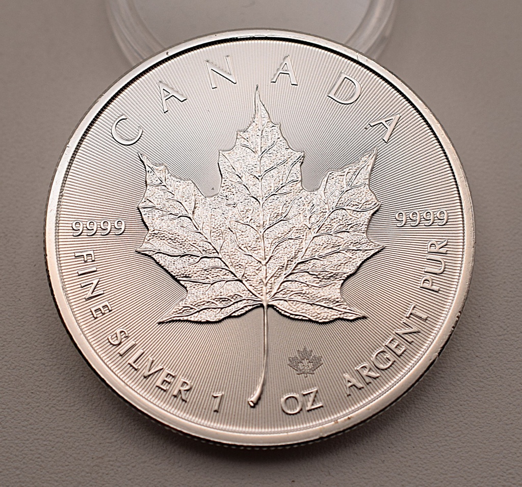 Maple Leaf 1 Unze 2019 Silbermünze Kanada Investment / Anlage