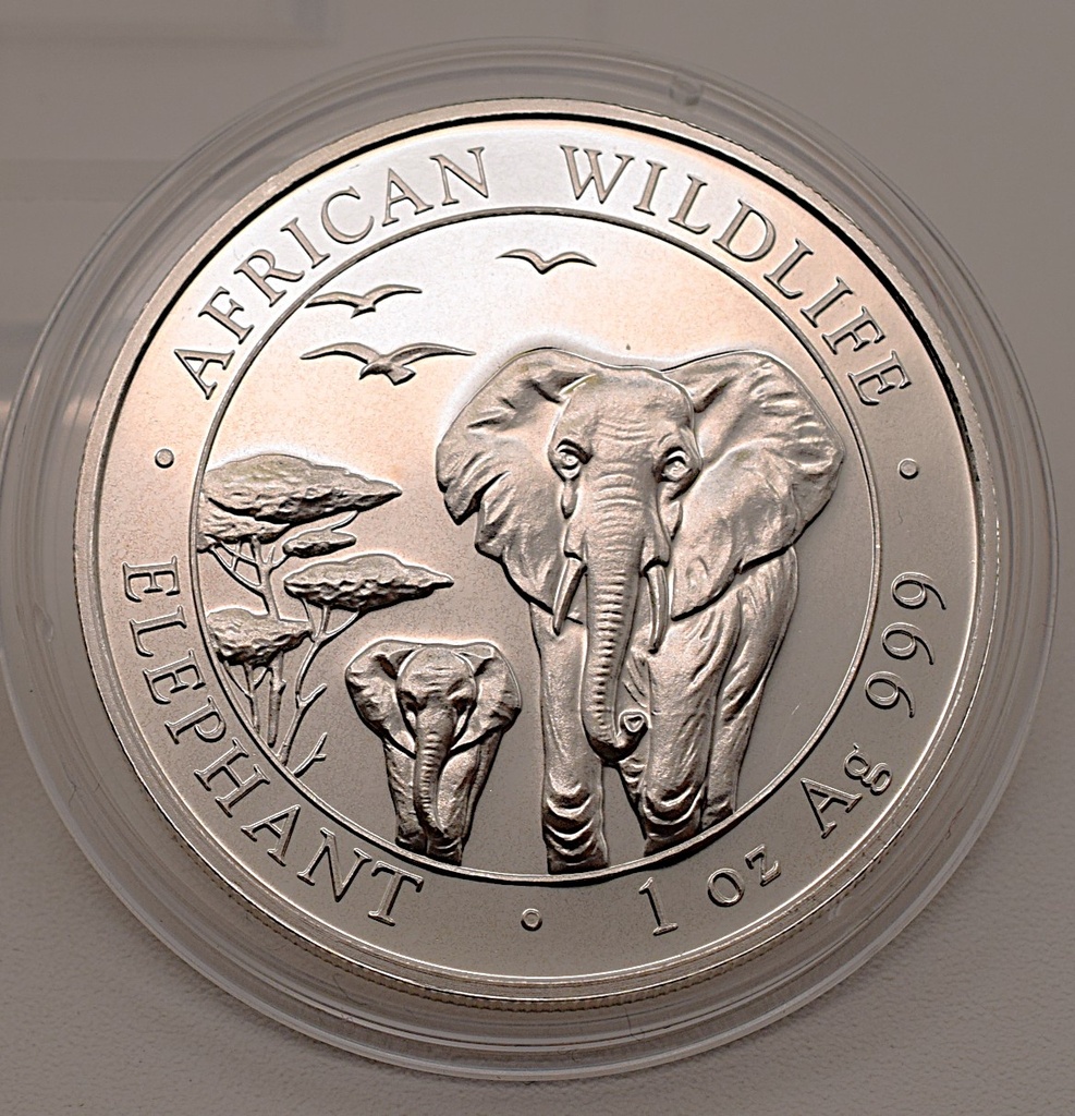 Somalia Elephant African Wildlife 1 oz 2015 Silbermünze