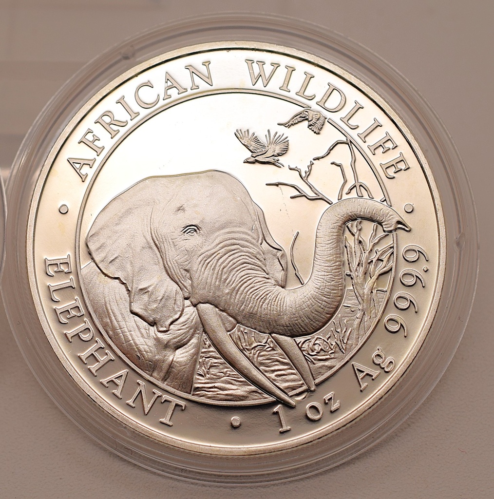 Somalia Elephant African Wildlife 1 oz 2018 Silbermünze