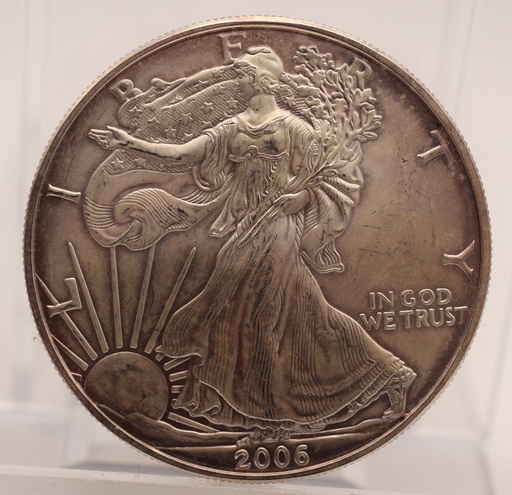 [1160.2.1] American Silber Eagle 1 oz 2006 Silbermünze USA