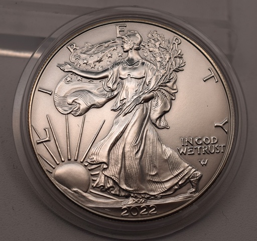American Silber Eagle 1 oz 2022 Silbermünze USA