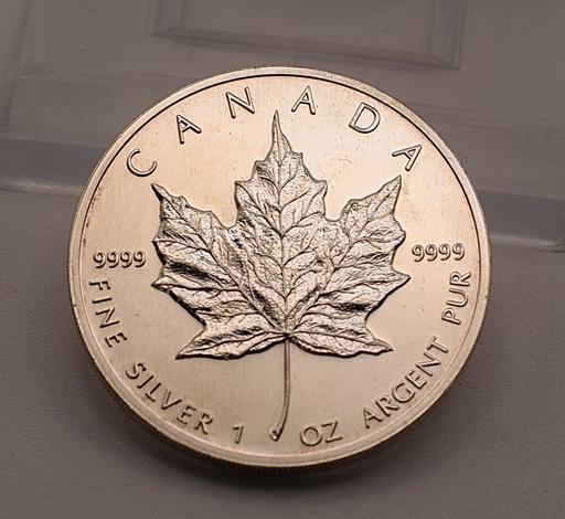 [[2482.1]] Maple Leaf 1 Unze 1990 - 2003 Silbermünze 999,9 Feingehalt Kanada Anlage Investment